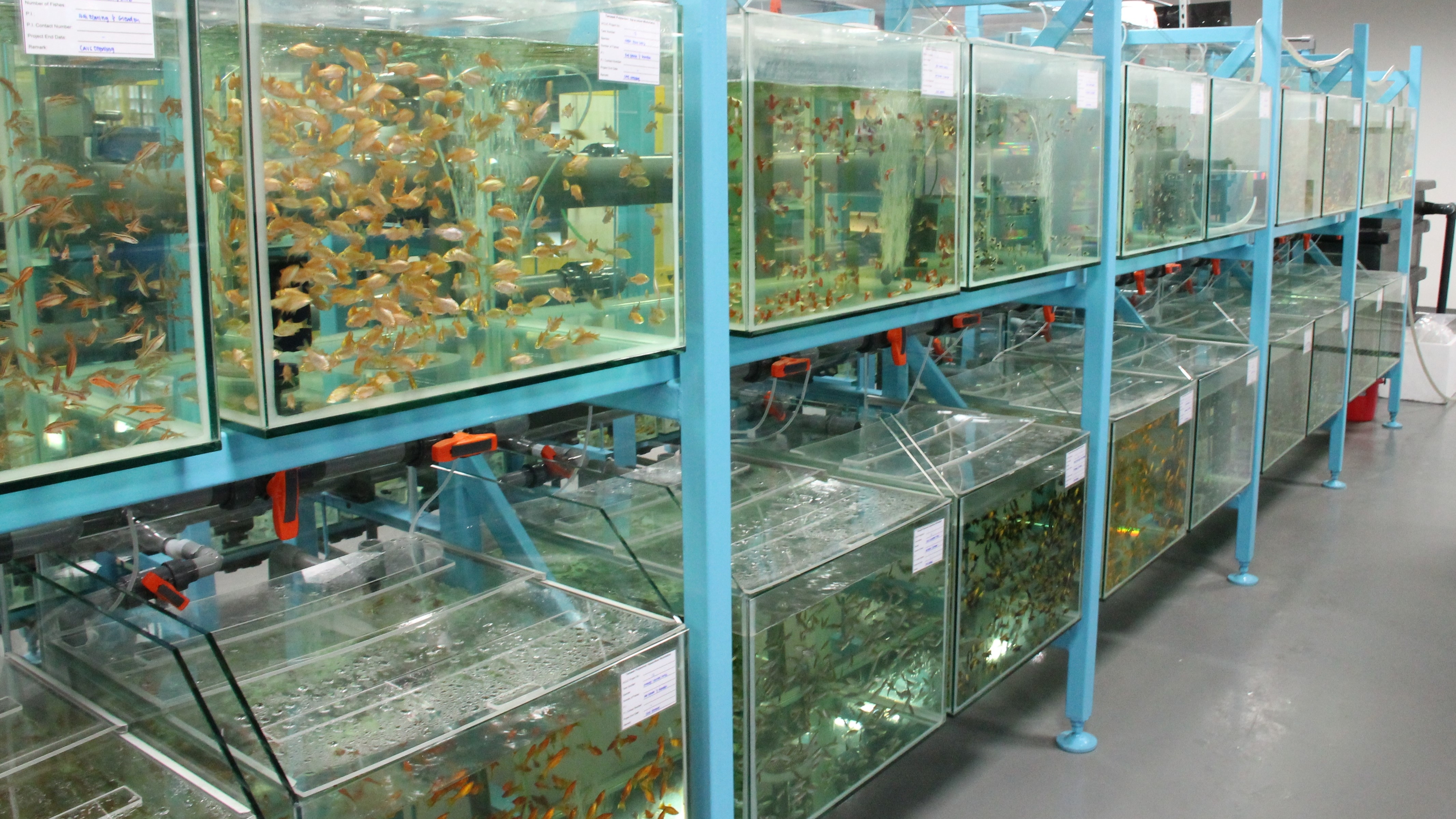 Centre for Aquaculture and Veterinary Science (CAVS) Temasek Polytechnic